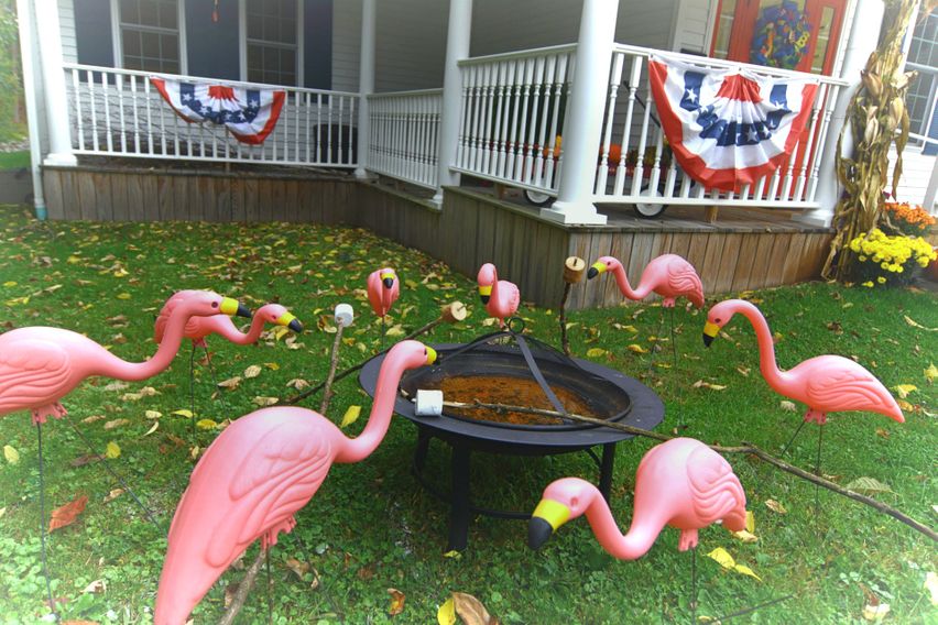 Flamingo Decorations Outside Kids Teeth Only